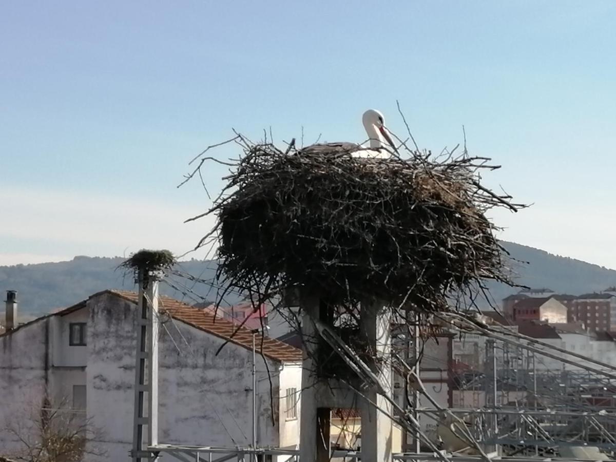 Lemavos Monforte De Lemos